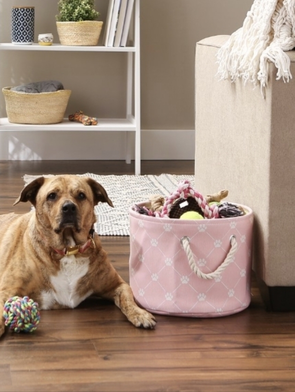 Pet Storage Collapsible Bin NWT